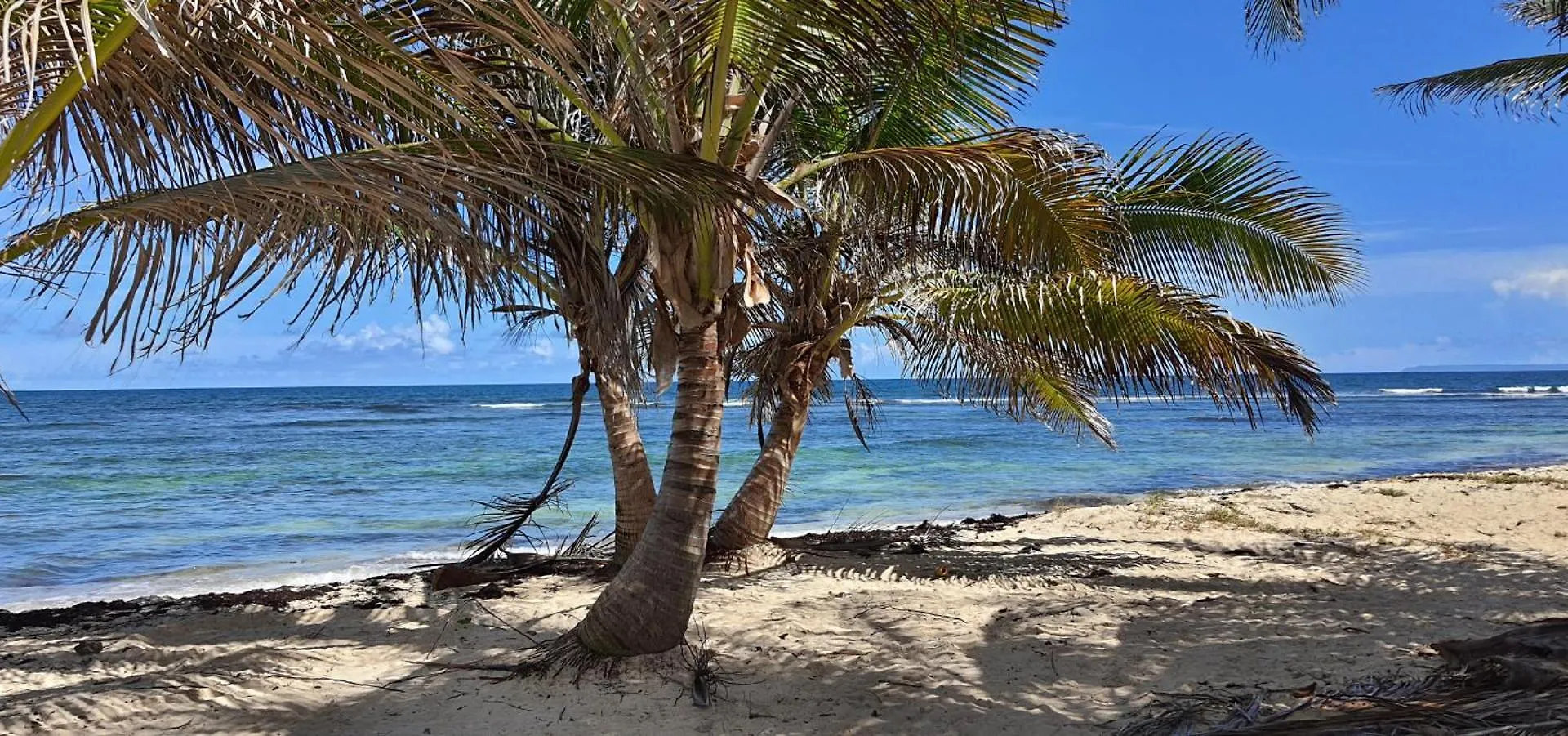 Les Koki Villa Tropicadelice Saint-Francois  Holiday home Saint-Francois (Grande-Terre)