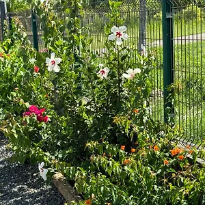 Hibiscus De Charme Avec Piscine Privee Saint-Francois (Grande-Terre)
